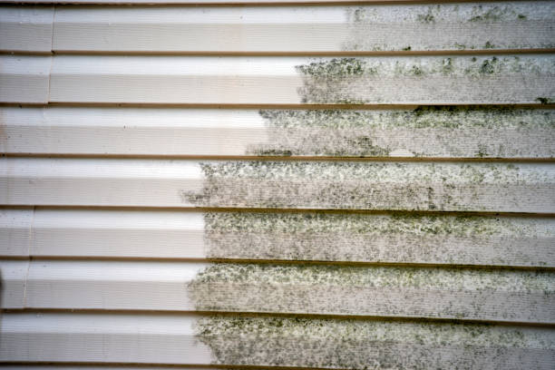 Best Foreclosure Cleanout  in Corydon, IN