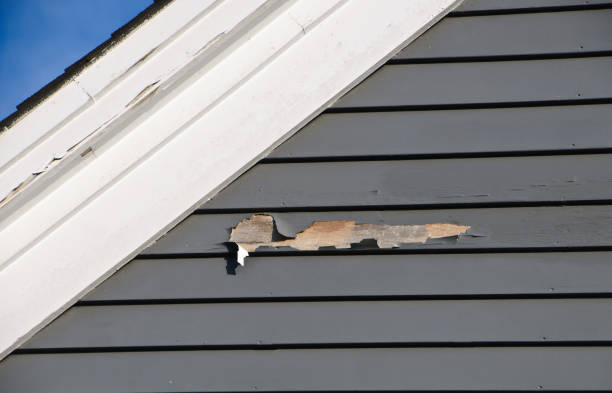 Best Hoarding Cleanup  in Corydon, IN
